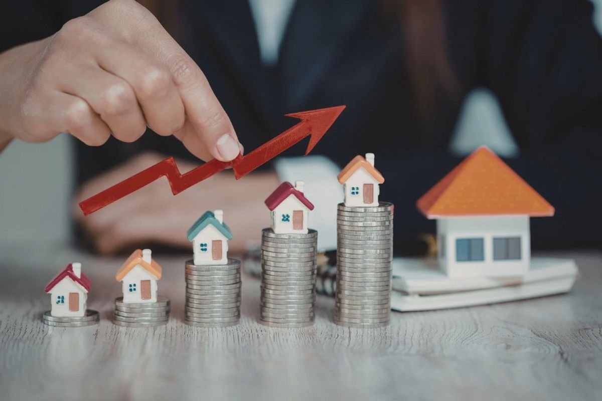 Investor Opportunities